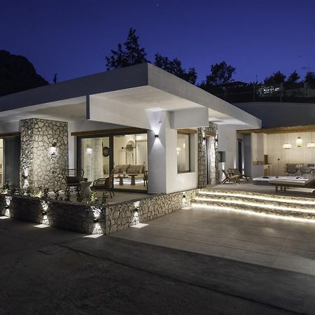 Lithos Luxury Villa 阿彻奇洛斯 外观 照片